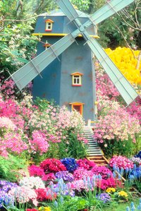 Wind-driven yard ornaments add movement to your garden