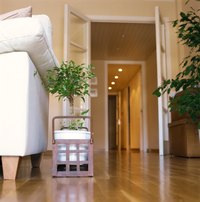 Removing doorways creates a light and spacious open plan.