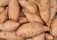 Real sweet potatoes have pointed ends.