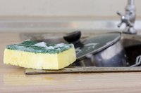 A fresh sponge harbors little bacteria.
