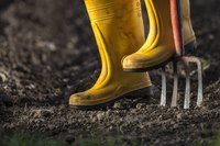 A garden fork works well to blend fertilizer into the soil where you plan to plant tiger grass.