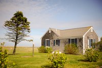 SmartSide engineering wood siding looks just like real wood.