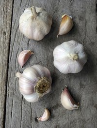 Keep the biggest clove in each garlic bulb for next year's crop.