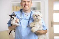 Your vet may prescribe metronidazole for both cats and dogs.
