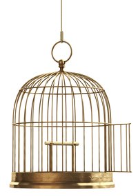 Wait three months before adding a new bird to a disinfected cage.