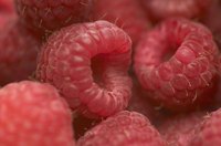 Raspberries for jam or jelly should be fully ripe, firm and blemish-free.
