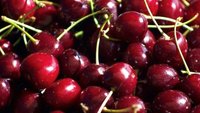 How to Clean Cherry Juice Stains Off Hands How to Clean Cherry Juice Stains Off Hands