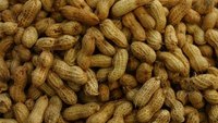 How Long Can You Keep and Reuse Peanut Oil to Cook? How Long Can You Keep and Reuse Peanut Oil to Cook?