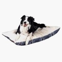 beds dog homemade bed dogs ehow raised near amazon