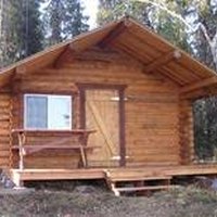 building a log cabin from pine