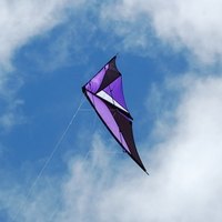 kite fishing kit for sale