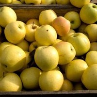 healthy fruit drink golden state fruit healthy fruit drink golden state fruit