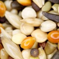 does bird seed go bad ehow does bird seed go bad ehow