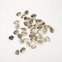is it ok to eat sunflower shells ehow is it ok to eat sunflower shells ehow