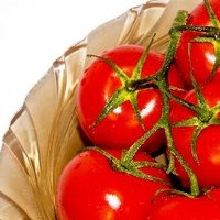 How Often Should You Fertilize Tomato Plants? | eHow