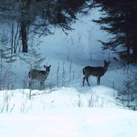 Trivia About Snow | eHow