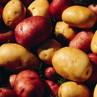 How to Grow Potatoes in Aquaponics | eHow