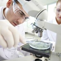 clinical laboratory scientist salary clinical laboratory scientist salary