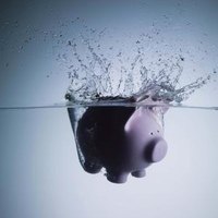 Microeconomics research paper