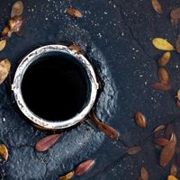leaves clogged drain ehow