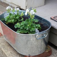 How to Garden in Galvanized Tubs (with Pictures) | eHow