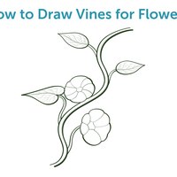 How to Draw Vines for Flowers (with Pictures) | eHow