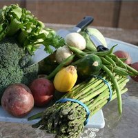 job description for a salad prep cook ehow food preparer job description - Food Preparer Job Description job description for a salad prep cook ehow food preparer job description - Food Preparer Job Description