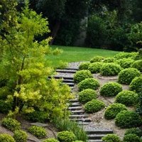 How to Landscape for a Hilly Front Yard | eHow