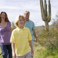 Edible Native Arizona Plants | eHow