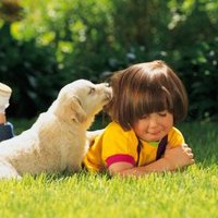 How to Keep Your Dog's Urine From Killing Grass | eHow