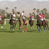 Polo Match Etiquette | eHow