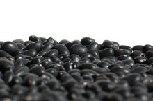 Food Allergy to Black Beans