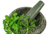 Herbs for Suppressing the Appetite