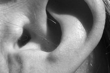 Human Ear Parasites Causing Pain