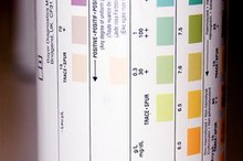 Color of Urine Strips for Ketosis