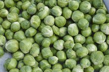 Do Brussel Sprouts Cause Urine to Smell?