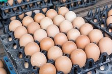 Is Vitamin K in Eggs?