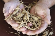 How to Use Dried Ginseng Root