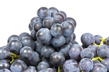 Nutritional Facts About Concord Grapes