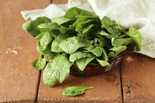 Is Spinach a Fat Burner?