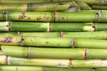 What Kind of Sugar Is in Sugar Cane?