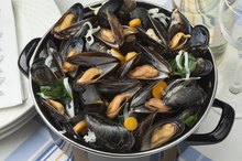 Calories in Mussels