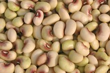 The Nutrition and Fiber in Crowder Peas