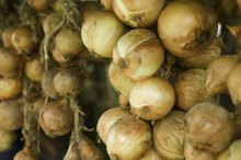Do Onions Have Vitamin K?