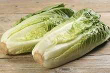 Nutritional Value of Mesclun Greens vs. Romaine Lettuce