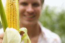 Digestive Benefits of Corn Flour