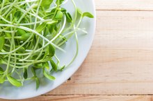 How to Eat Broccoli Sprouts