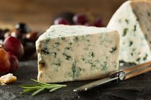 Which Probiotic Bacteria Does Blue Cheese Have?