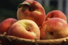 Glycemic Index of Peaches