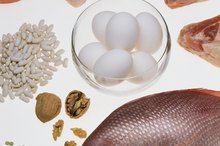 USDA Recommendations of Protein in Diet